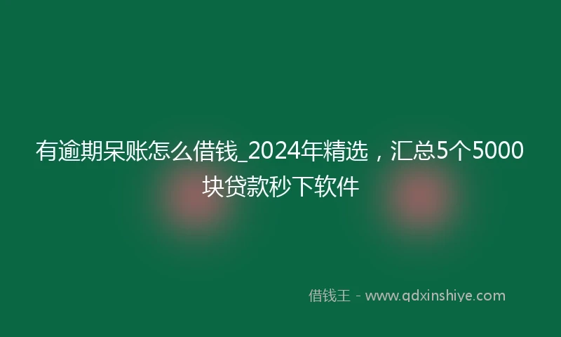 有逾期呆账怎么借钱_2024年精选，汇总5个5000块贷款秒下软件