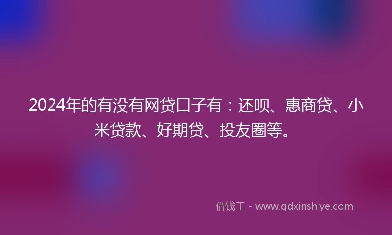 2024年的有没有网贷口子有：还呗、惠商贷、小米贷款、好期贷、投友圈等。