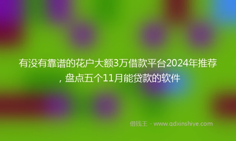 有没有靠谱的花户大额3万借款平台2024年推荐，盘点五个11月能贷款的软件