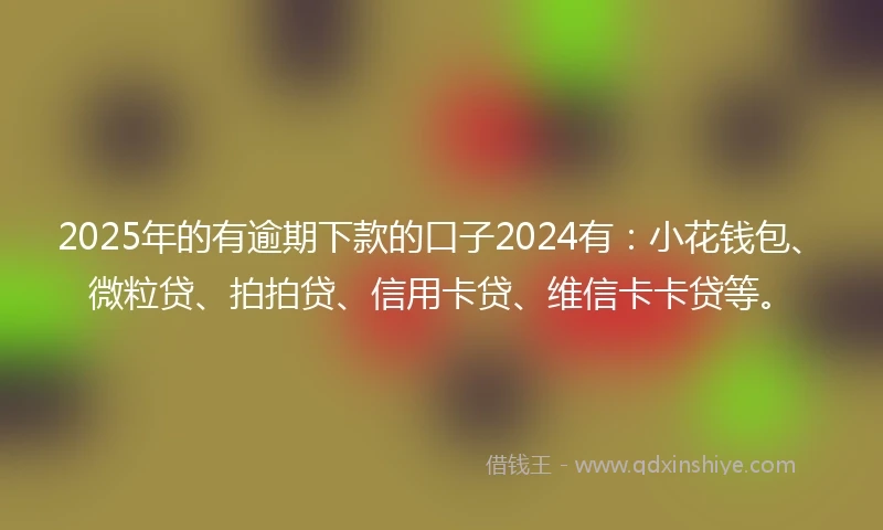 2025年的有逾期下款的口子2024有：小花钱包、微粒贷、拍拍贷、信用卡贷、维信卡卡贷等。