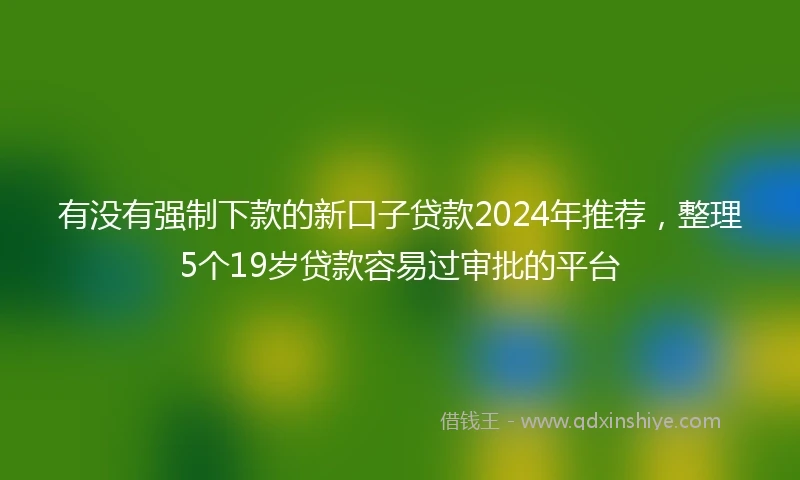 有没有强制下款的新口子贷款2024年推荐，整理5个19岁贷款容易过审批的平台