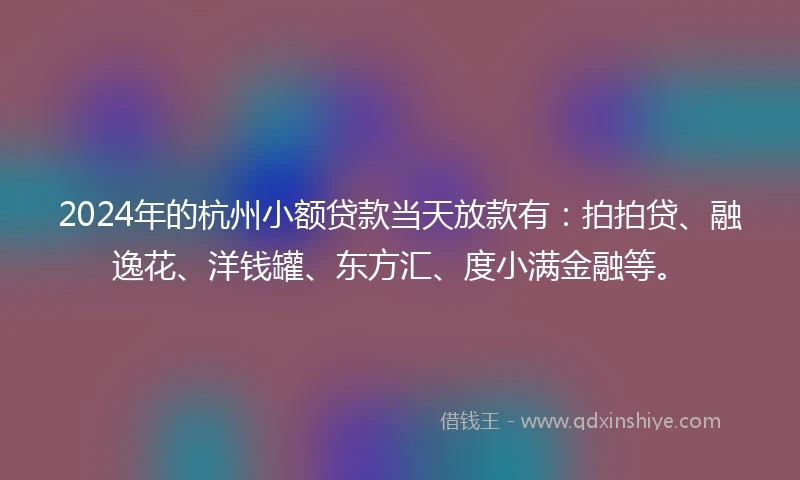 2024年的杭州小额贷款当天放款有：拍拍贷、融逸花、洋钱罐、东方汇、度小满金融等。