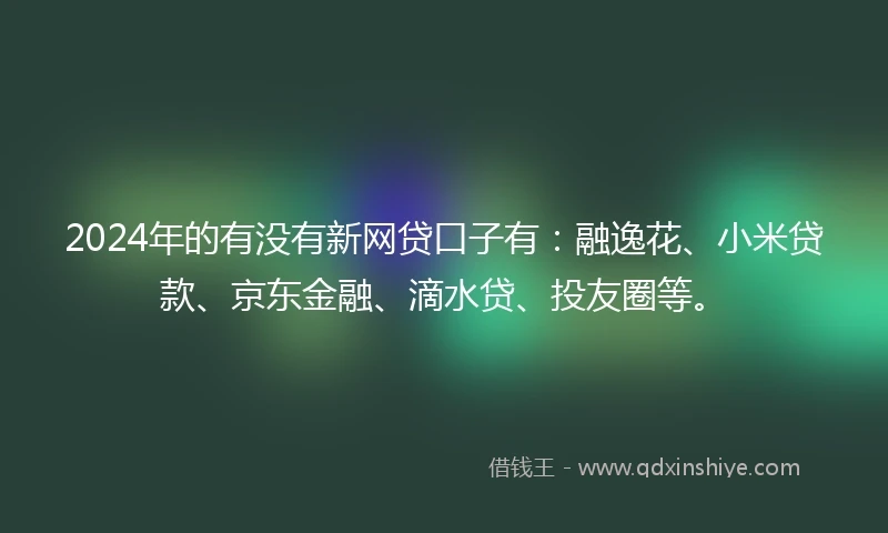 2024年的有没有新网贷口子有：融逸花、小米贷款、京东金融、滴水贷、投友圈等。