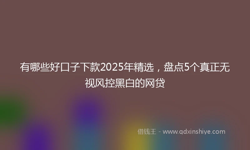 有哪些好口子下款2025年精选，盘点5个真正无视风控黑白的网贷