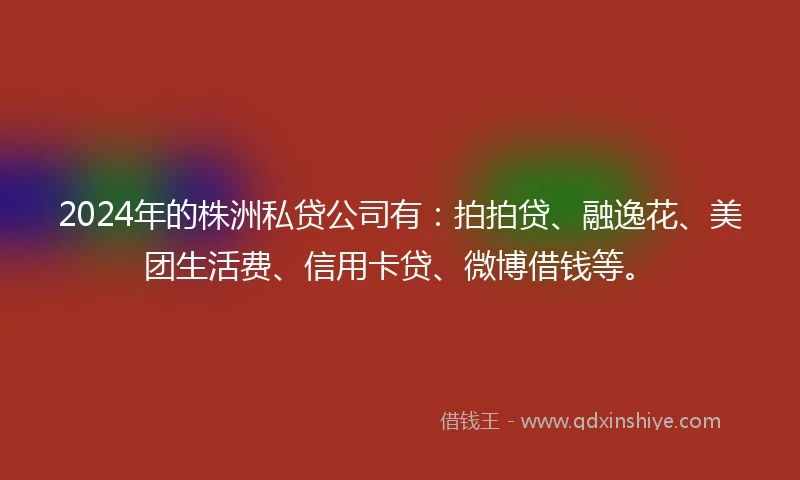 2024年的株洲私贷公司有：拍拍贷、融逸花、美团生活费、信用卡贷、微博借钱等。
