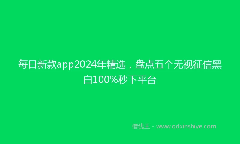 每日新款app2024年精选，盘点五个无视征信黑白100%秒下平台