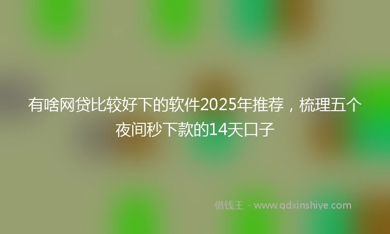 有啥网贷比较好下的软件2025年推荐，梳理五个夜间秒下款的14天口子