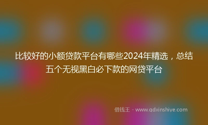 比较好的小额贷款平台有哪些2024年精选，总结五个无视黑白必下款的网贷平台