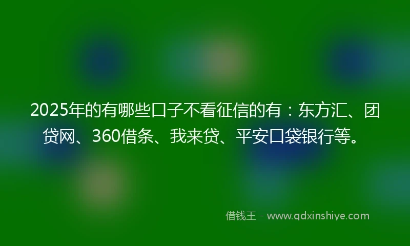 2025年的有哪些口子不看征信的有：东方汇、团贷网、360借条、我来贷、平安口袋银行等。