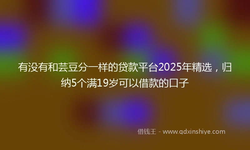 有没有和芸豆分一样的贷款平台2025年精选，归纳5个满19岁可以借款的口子