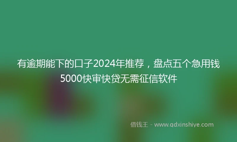 有逾期能下的口子2024年推荐，盘点五个急用钱5000快审快贷无需征信软件