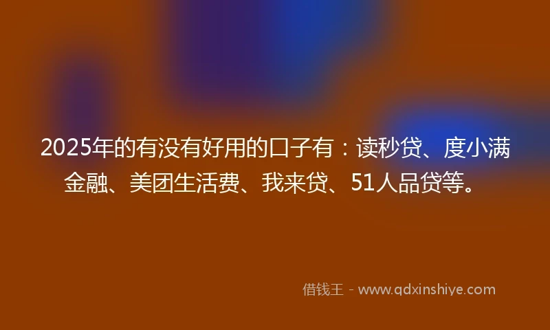 2025年的有没有好用的口子有：读秒贷、度小满金融、美团生活费、我来贷、51人品贷等。
