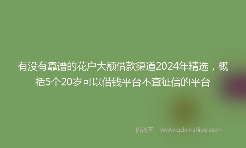 有没有靠谱的花户大额借款渠道2024年精选，概括5个20岁可以借钱平台不查征信的平台