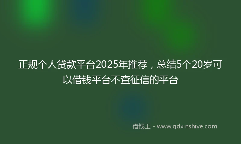 正规个人贷款平台2025年推荐，总结5个20岁可以借钱平台不查征信的平台