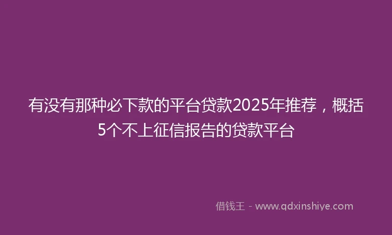 有没有那种必下款的平台贷款2025年推荐，概括5个不上征信报告的贷款平台