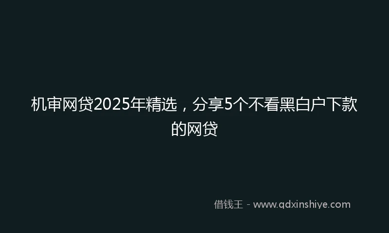 机审网贷2025年精选，分享5个不看黑白户下款的网贷