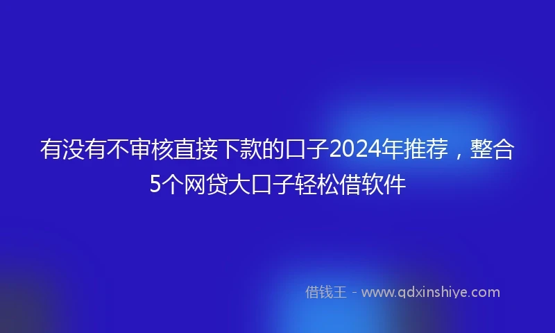 有没有不审核直接下款的口子2024年推荐，整合5个网贷大口子轻松借软件