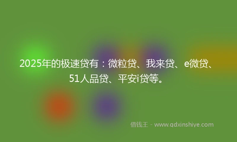 2025年的极速贷有：微粒贷、我来贷、e微贷、51人品贷、平安i贷等。