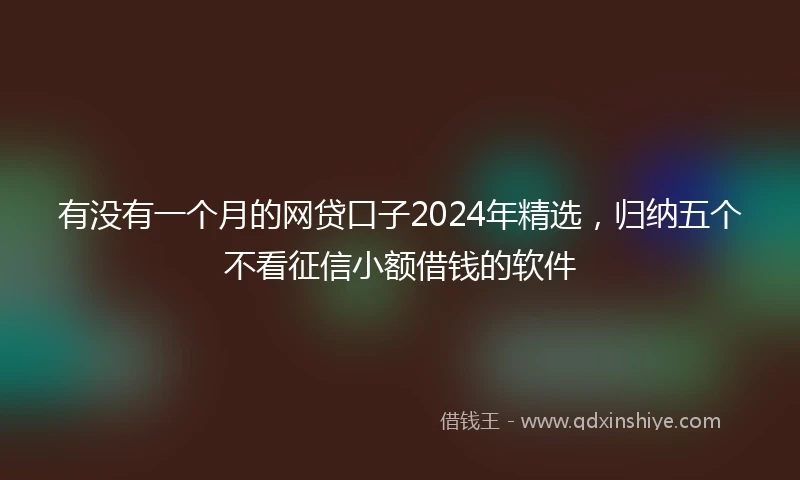有没有一个月的网贷口子2024年精选，归纳五个不看征信小额借钱的软件