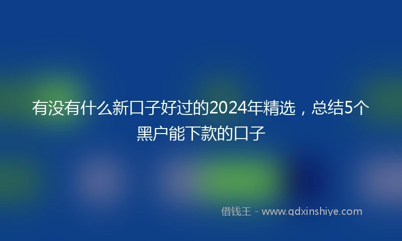 有没有什么新口子好过的2024年精选，总结5个黑户能下款的口子