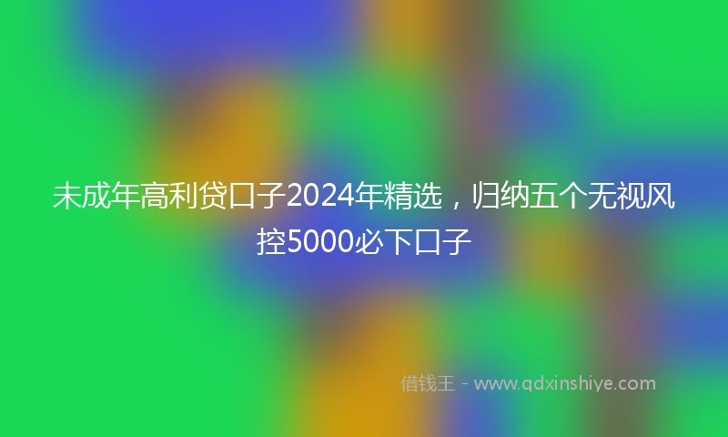 未成年高利贷口子2024年精选，归纳五个无视风控5000必下口子