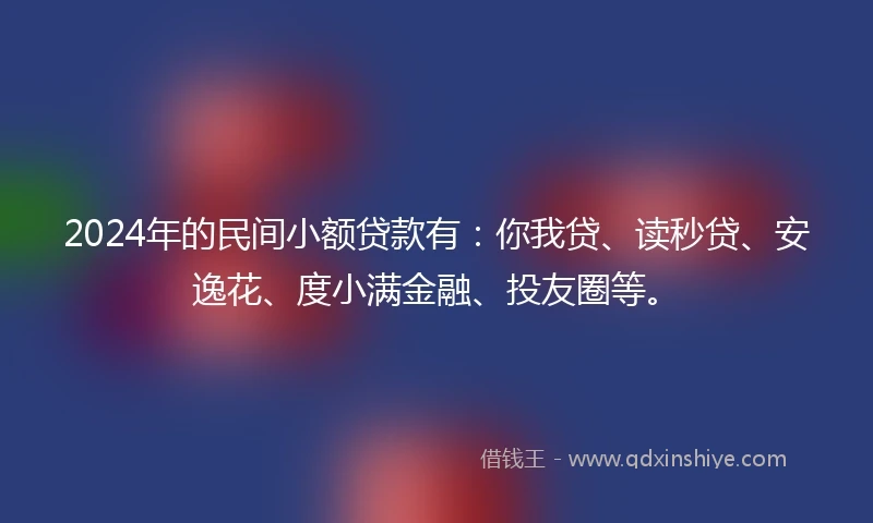 2024年的民间小额贷款有：你我贷、读秒贷、安逸花、度小满金融、投友圈等。