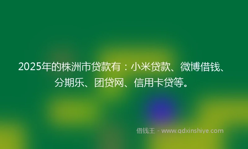 2025年的株洲市贷款有：小米贷款、微博借钱、分期乐、团贷网、信用卡贷等。