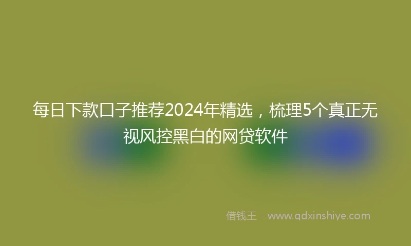 每日下款口子推荐2024年精选，梳理5个真正无视风控黑白的网贷软件