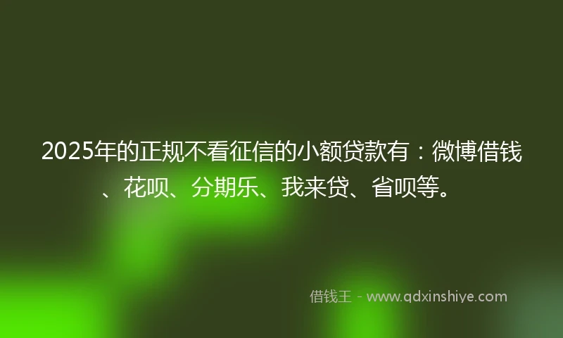 2025年的正规不看征信的小额贷款有：微博借钱、花呗、分期乐、我来贷、省呗等。