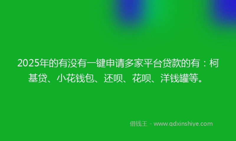 2025年的有没有一键申请多家平台贷款的有：柯基贷、小花钱包、还呗、花呗、洋钱罐等。