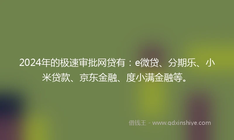2024年的极速审批网贷有：e微贷、分期乐、小米贷款、京东金融、度小满金融等。