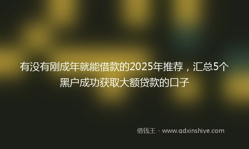 有没有刚成年就能借款的2025年推荐，汇总5个黑户成功获取大额贷款的口子