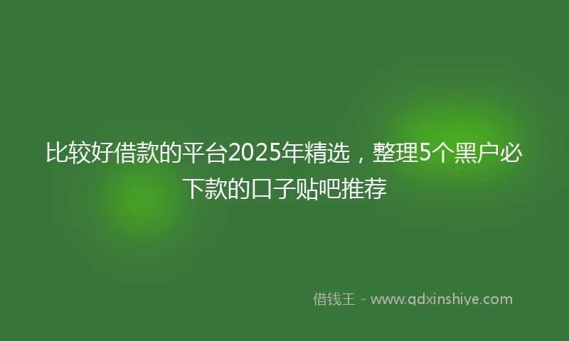 比较好借款的平台2025年精选，整理5个黑户必下款的口子贴吧推荐