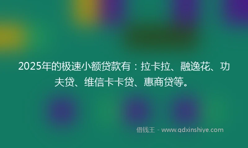 2025年的极速小额贷款有：拉卡拉、融逸花、功夫贷、维信卡卡贷、惠商贷等。
