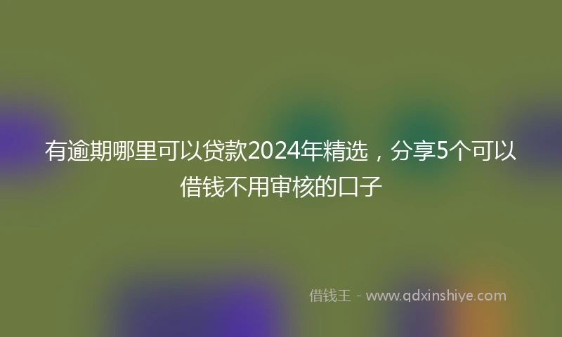有逾期哪里可以贷款2024年精选，分享5个可以借钱不用审核的口子