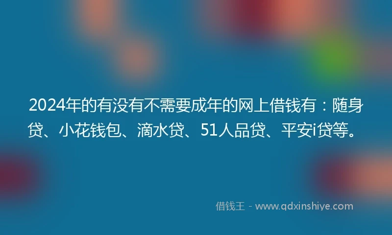 2024年的有没有不需要成年的网上借钱有：随身贷、小花钱包、滴水贷、51人品贷、平安i贷等。