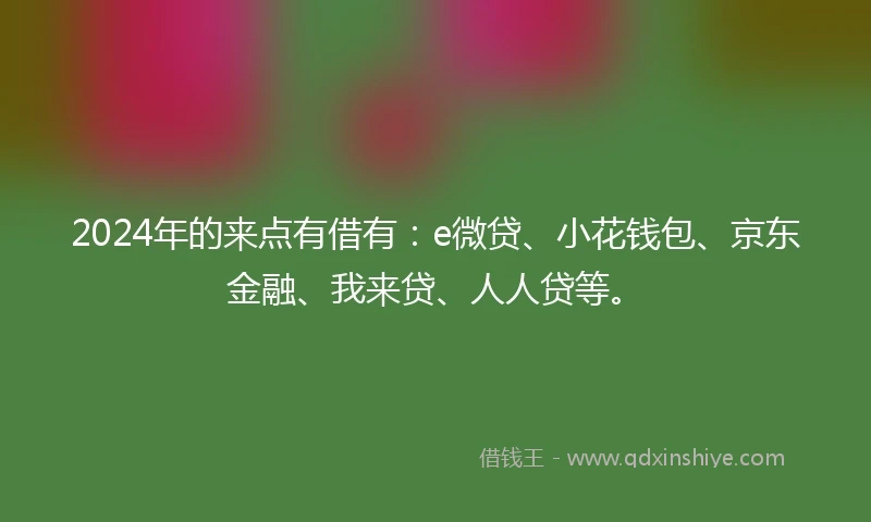 2024年的来点有借有：e微贷、小花钱包、京东金融、我来贷、人人贷等。