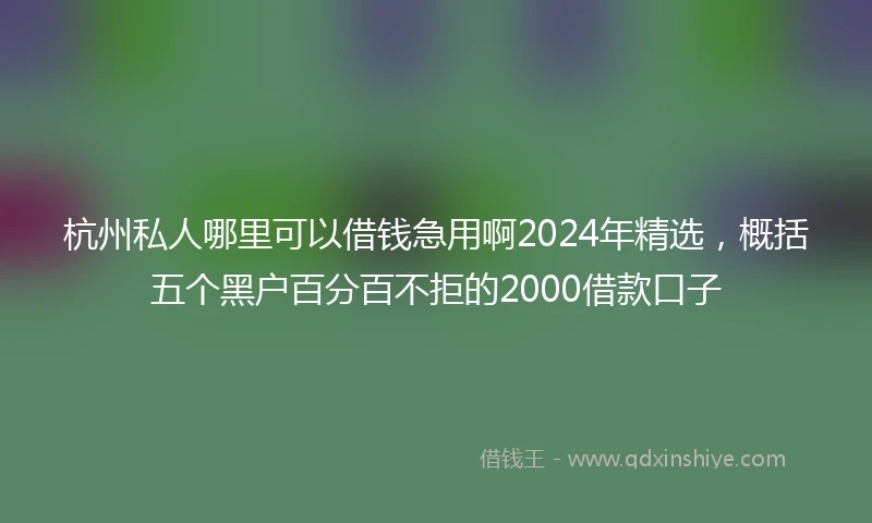 杭州私人哪里可以借钱急用啊2024年精选，概括五个黑户百分百不拒的2000借款口子