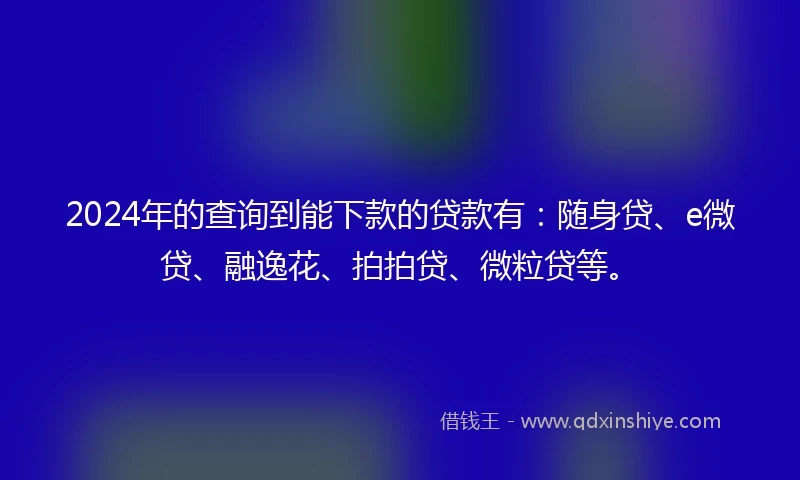 2024年的查询到能下款的贷款有：随身贷、e微贷、融逸花、拍拍贷、微粒贷等。