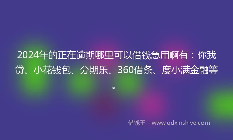 2024年的正在逾期哪里可以借钱急用啊有：你我贷、小花钱包、分期乐、360借条、度小满金融等。