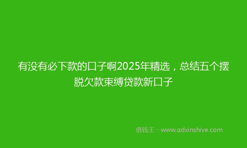 有没有必下款的口子啊2025年精选，总结五个摆脱欠款束缚贷款新口子