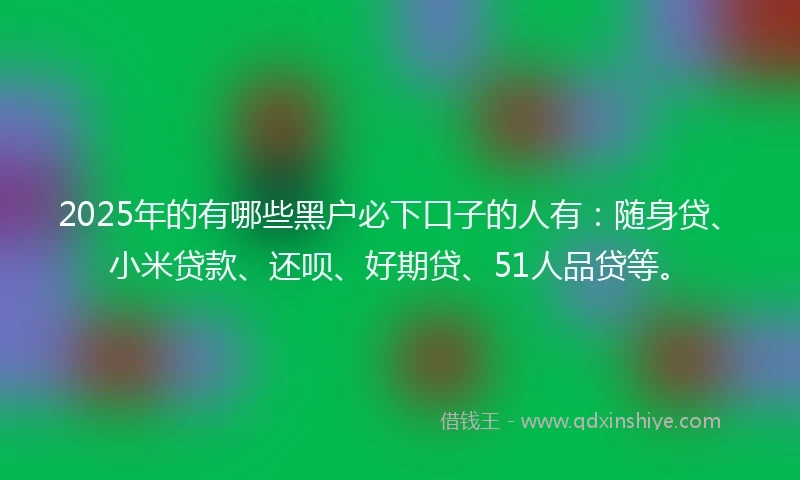 2025年的有哪些黑户必下口子的人有：随身贷、小米贷款、还呗、好期贷、51人品贷等。