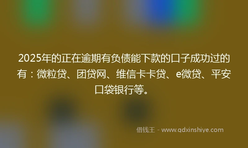 2025年的正在逾期有负债能下款的口子成功过的有：微粒贷、团贷网、维信卡卡贷、e微贷、平安口袋银行等。