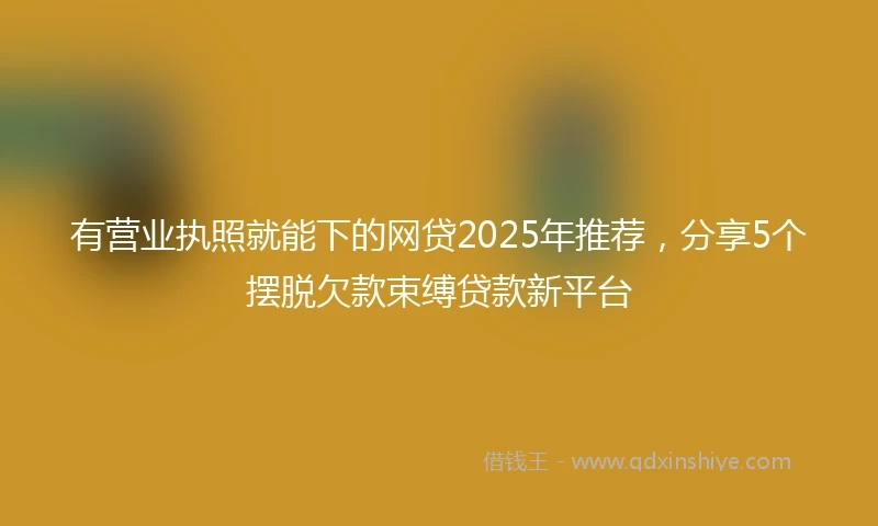 有营业执照就能下的网贷2025年推荐，分享5个摆脱欠款束缚贷款新平台