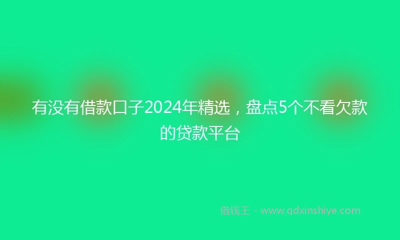 有没有借款口子2024年精选，盘点5个不看欠款的贷款平台
