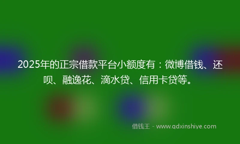 2025年的正宗借款平台小额度有：微博借钱、还呗、融逸花、滴水贷、信用卡贷等。