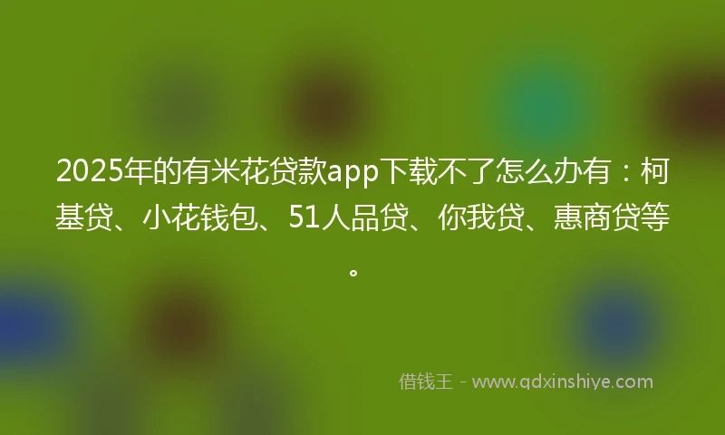 2025年的有米花贷款app下载不了怎么办有：柯基贷、小花钱包、51人品贷、你我贷、惠商贷等。