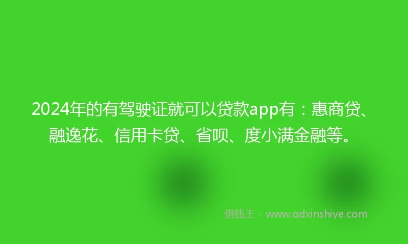 2024年的有驾驶证就可以贷款app有：惠商贷、融逸花、信用卡贷、省呗、度小满金融等。