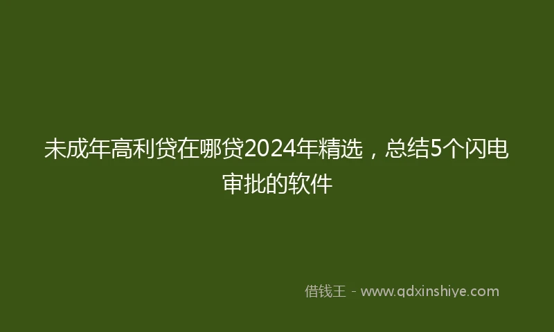 未成年高利贷在哪贷2024年精选，总结5个闪电审批的软件