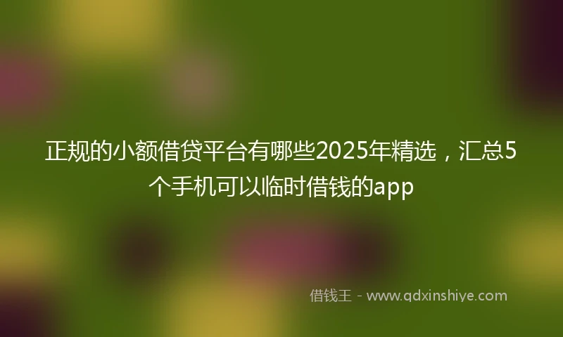 正规的小额借贷平台有哪些2025年精选，汇总5个手机可以临时借钱的app
